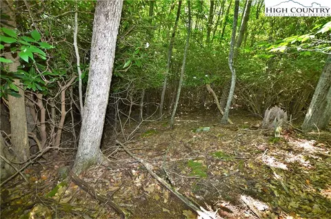 101 Spicewood Ln, Beech Mountain, NC 28604 photo 2