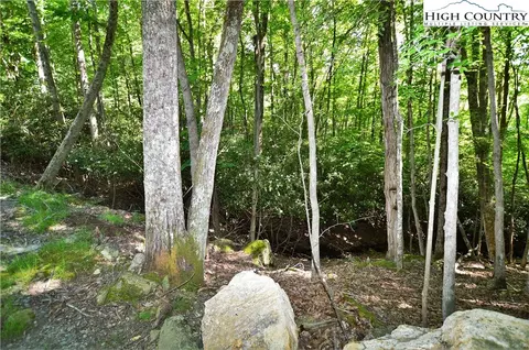 101 Spicewood Ln, Beech Mountain, NC 28604 photo 7