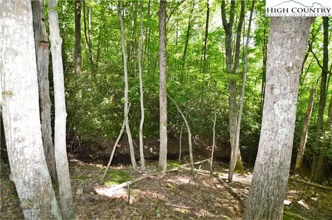 101 Spicewood Ln, Beech Mountain, NC 28604 photo 8