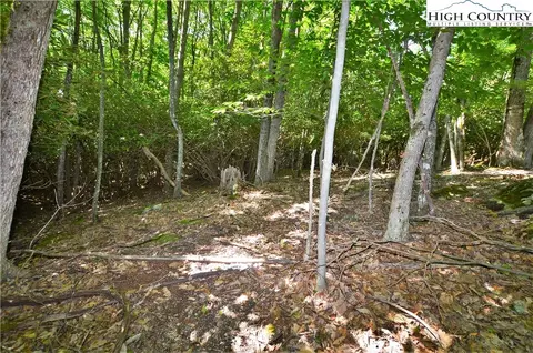 101 Spicewood Ln, Beech Mountain, NC 28604 photo 5