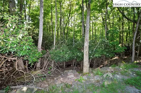 101 Spicewood Ln, Beech Mountain, NC 28604 photo 6