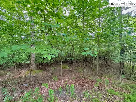 TBD Otter Court, Seven Devils, NC 28604 photo 11