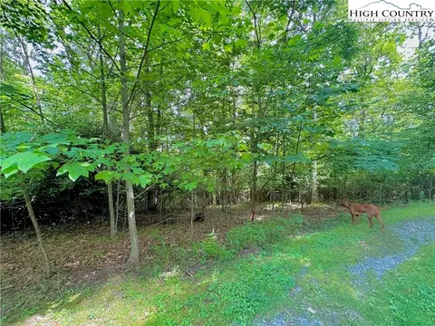 TBD Otter Court, Seven Devils, NC 28604 photo 10
