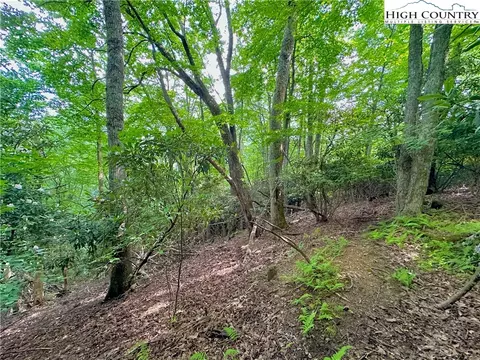 TBD Otter Court, Seven Devils, NC 28604 photo 12