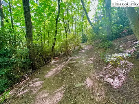TBD Otter Court, Seven Devils, NC 28604 photo 16