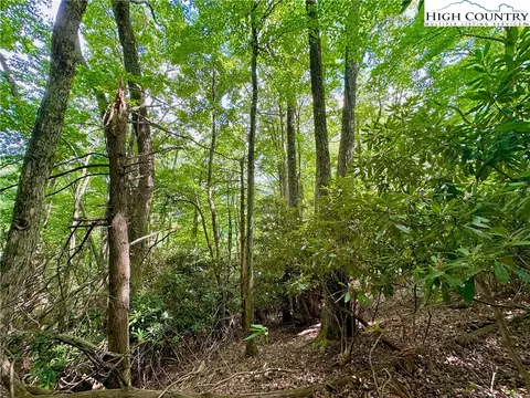TBD Otter Court, Seven Devils, NC 28604 photo 13