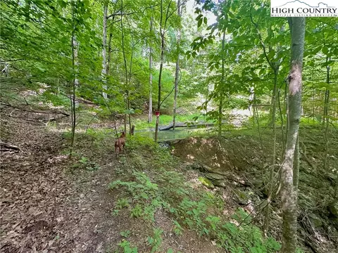 TBD Otter Court, Seven Devils, NC 28604 photo 15