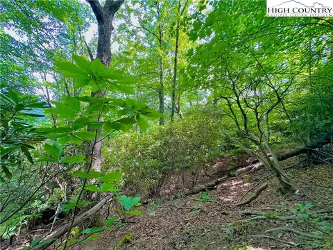TBD Otter Court, Seven Devils, NC 28604 photo 14