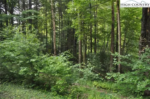 502 Benge Ashe Rd, Purlear, NC 28665 photo 31