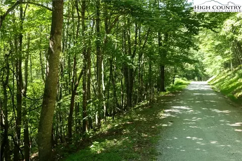 000 Chestnut Ridge Trl, Seven Devils, NC 28604 photo 4