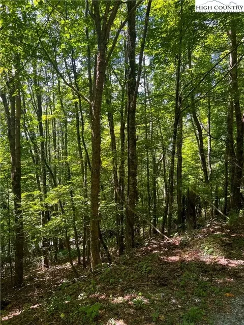 000 Chestnut Ridge Trl, Seven Devils, NC 28604 photo 3