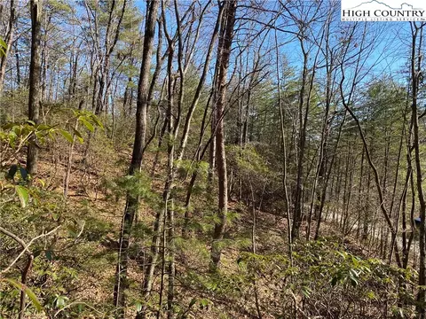 Lot 5 Summit Ridge Road, Purlear, NC 28665 photo 8