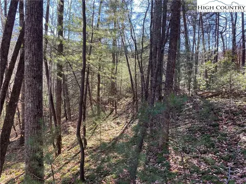 Lot 5 Summit Ridge Road, Purlear, NC 28665 photo 11