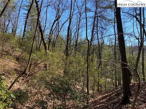 Lot 5 Summit Ridge Road, Purlear, NC 28665 photo 9