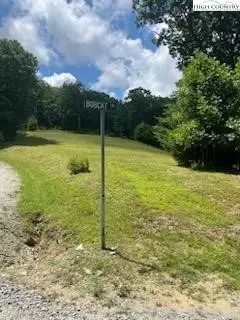 tbd Bobcat Ln, Sparta, NC 28675 photo 10