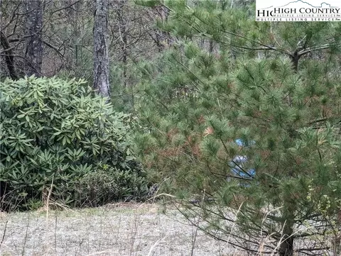 tbd Bobcat Ln, Sparta, NC 28675 photo 5