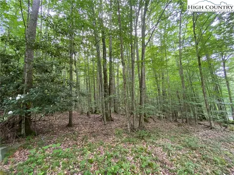 Lot 7 Buckeye Ridge Road, Beech Mountain, NC 28604