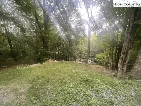 118 E Blueberry Ln, Beech Mountain, NC 28604 photo 2