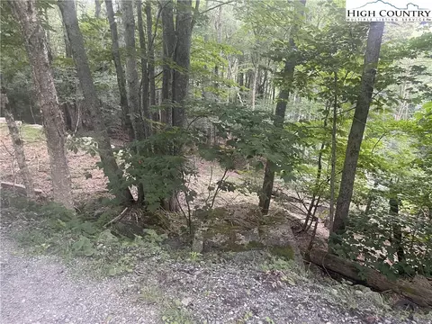 118 E Blueberry Ln, Beech Mountain, NC 28604 photo 10