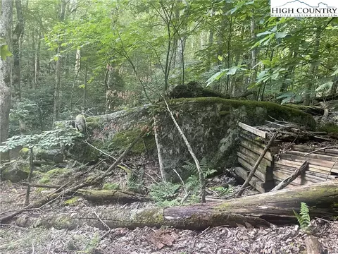 118 E Blueberry Ln, Beech Mountain, NC 28604 photo 8