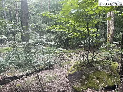 118 E Blueberry Ln, Beech Mountain, NC 28604 photo 11