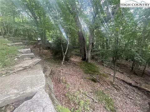 118 E Blueberry Ln, Beech Mountain, NC 28604 photo 6
