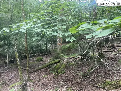 118 E Blueberry Ln, Beech Mountain, NC 28604 photo 14