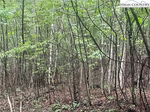 tbd Spring Mountain Trl, Lansing, NC 28643 photo 11