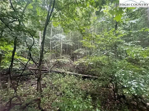 tbd Spring Mountain Trl, Lansing, NC 28643 photo 3