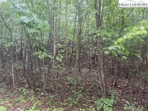tbd Spring Mountain Trl, Lansing, NC 28643 photo 6