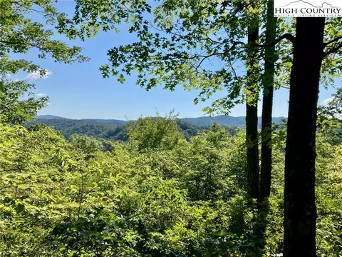 TBD Lady's Mantle Lane, Ferguson, NC 28624