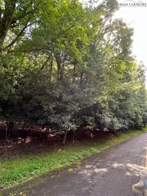 TBD Buchanan, Roaring Gap, NC 28668 photo 3