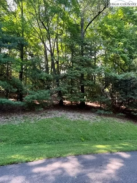 TBD Buchanan, Roaring Gap, NC 28668