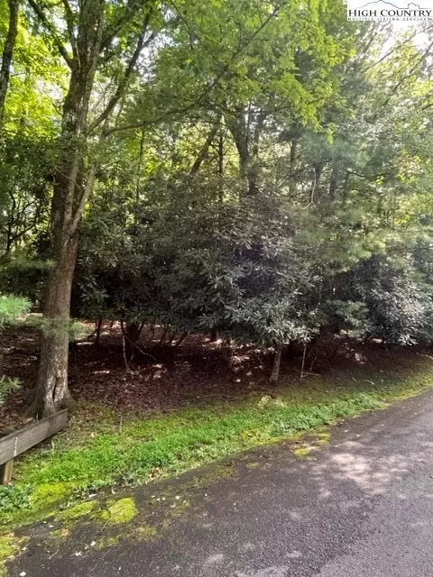 TBD Buchanan, Roaring Gap, NC 28668 photo 2
