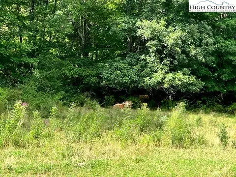 TBD Three Top Road, Todd, NC 28684 photo 5
