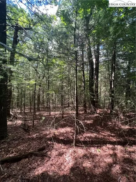 tbd Drift Ln, Ennice, NC 28623 photo 5
