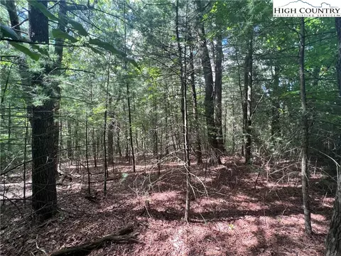 tbd Drift Ln, Ennice, NC 28623 photo 4