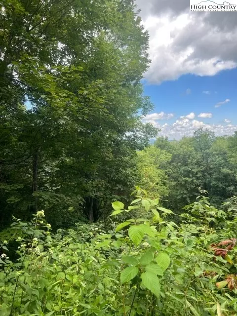 TBD Doe Ridge Road, Boone, NC 28607