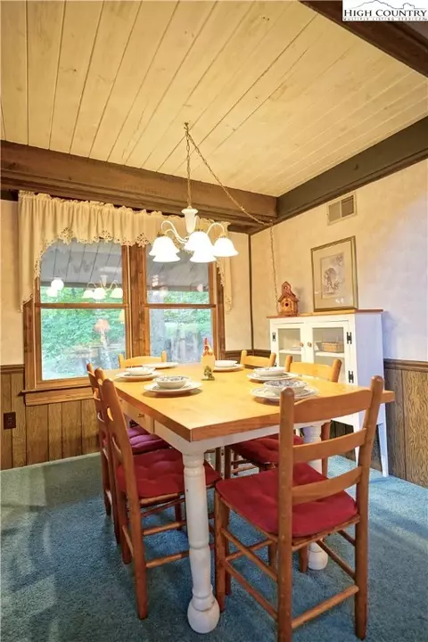 104 Ladybug Ln, Beech Mountain, NC 28604 photo 10