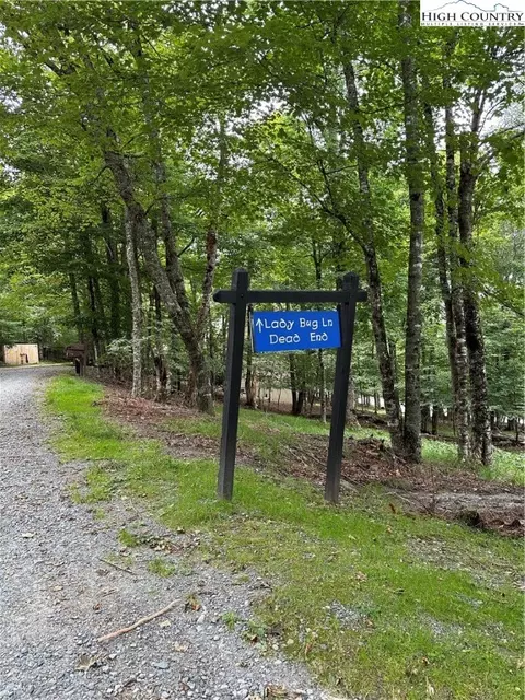 104 Ladybug Ln, Beech Mountain, NC 28604 photo 21