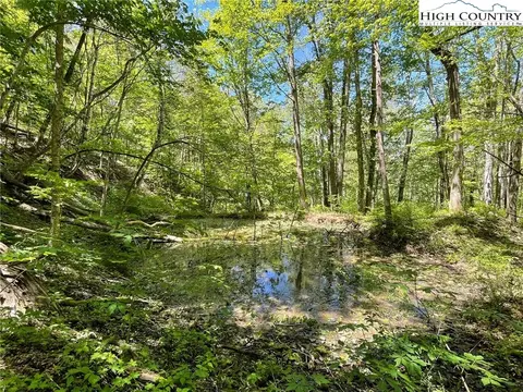 tbd Trinity Ln, Jefferson, NC 28640 photo 17