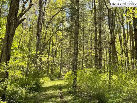 tbd Trinity Ln, Jefferson, NC 28640 photo 8