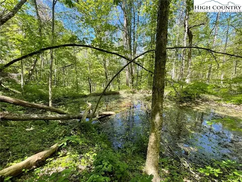 tbd Trinity Ln, Jefferson, NC 28640 photo 16