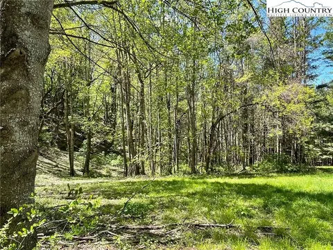 tbd Trinity Ln, Jefferson, NC 28640 photo 10