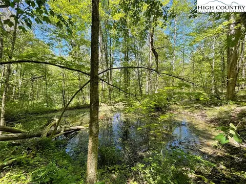 tbd Trinity Ln, Jefferson, NC 28640 photo 20