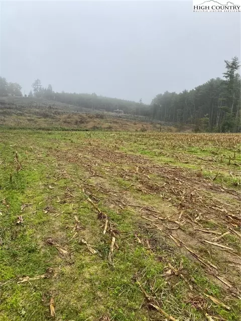 tbd Evans Rd, Ennice, NC 28623 photo 8