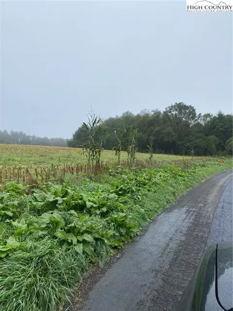 tbd Evans Rd, Ennice, NC 28623 photo 6