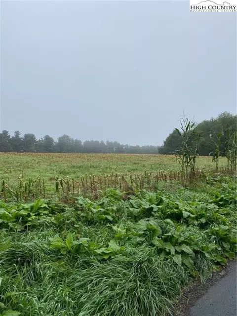 tbd Evans Rd, Ennice, NC 28623 photo 9