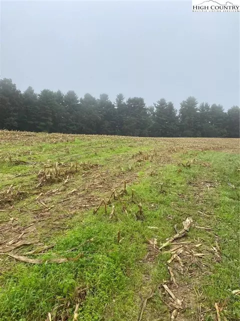 tbd Evans Rd, Ennice, NC 28623 photo 2