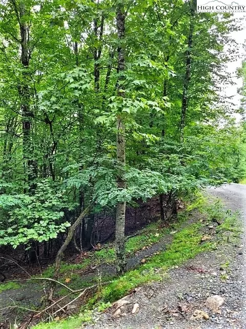 227 Poplar Dr, Beech Mountain, NC 28604 photo 8